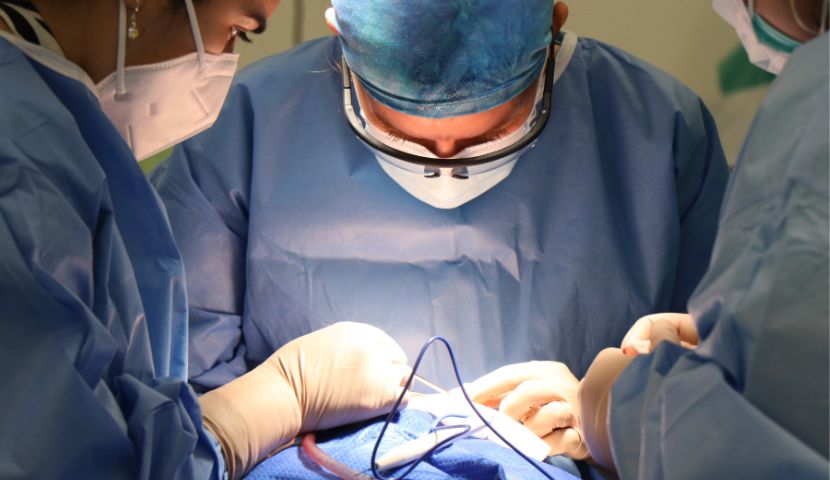 دانشگاه پزشکی شاریته برلین